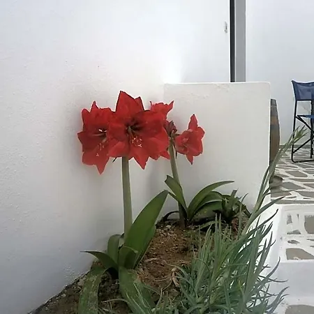 Ostria 4*