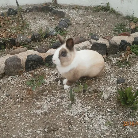 아파트호텔 Ostria Kamári